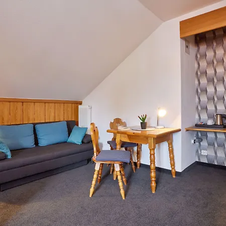 酒店 Alter Wirth 3*