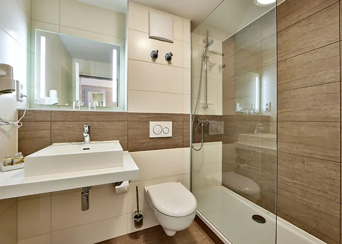 ホテル Alter Wirth 3*