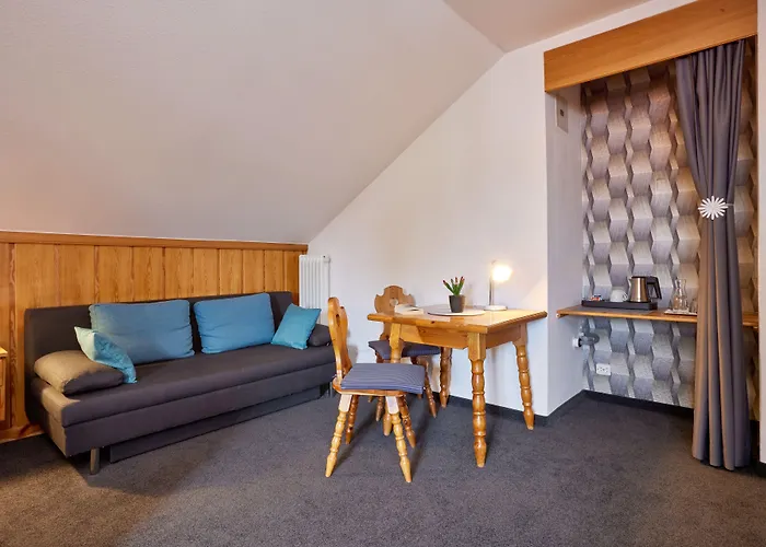 ホテル Alter Wirth 3*