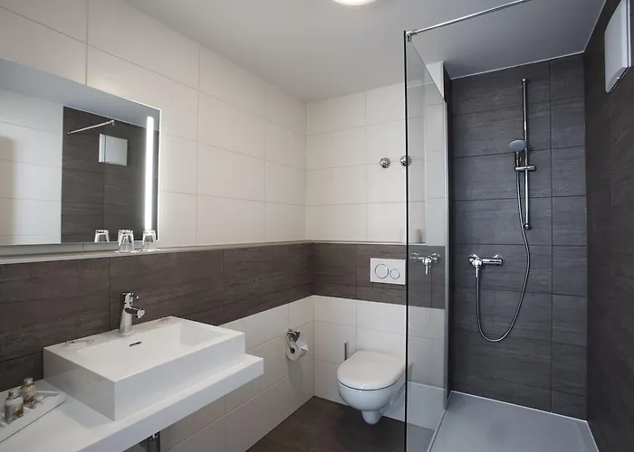 Alter Wirth ホテル 3*