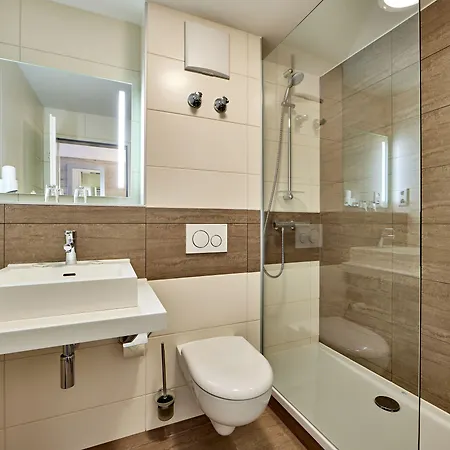 Отель Alter Wirth 3*